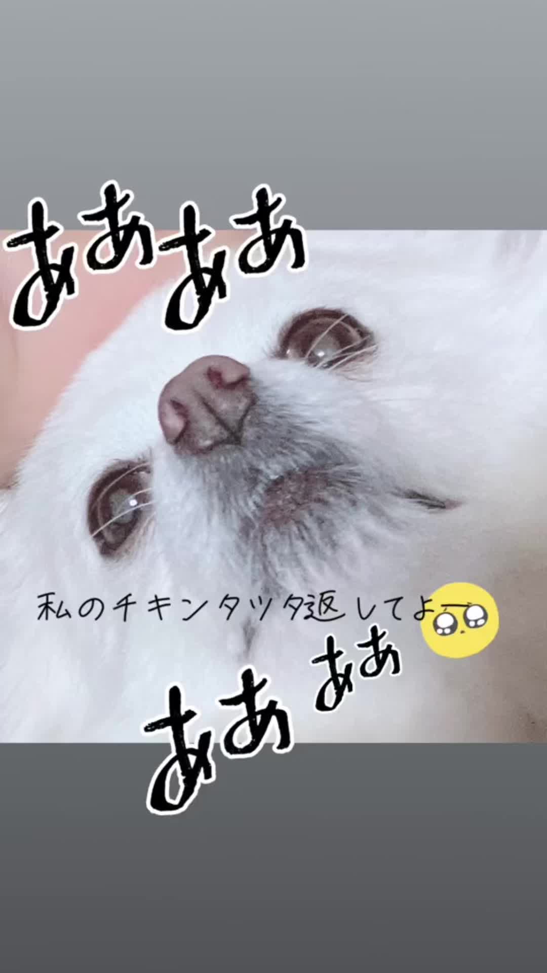 @はこた