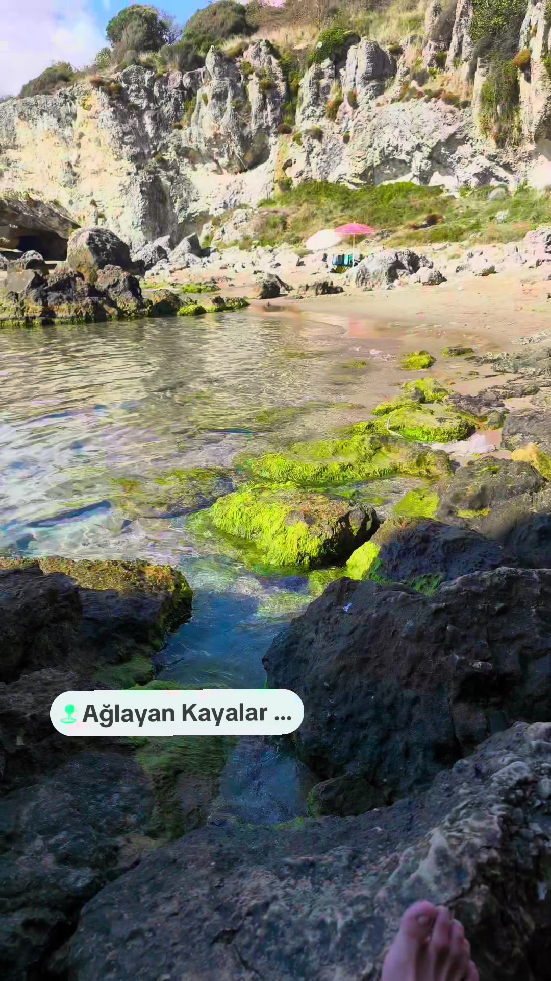 @Caner