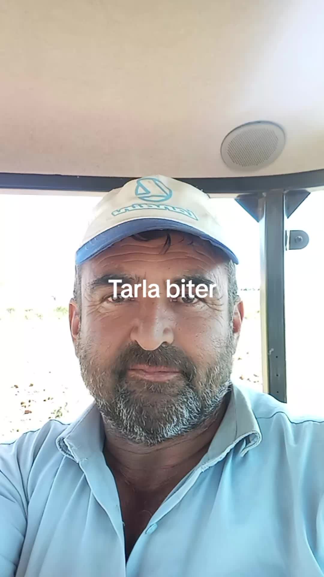 @mustafa Gül