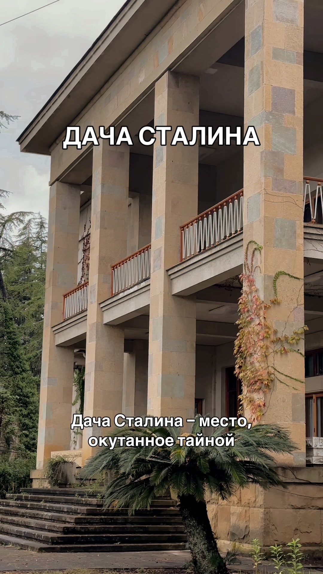 @Бьюти блогер Катя💓UGC