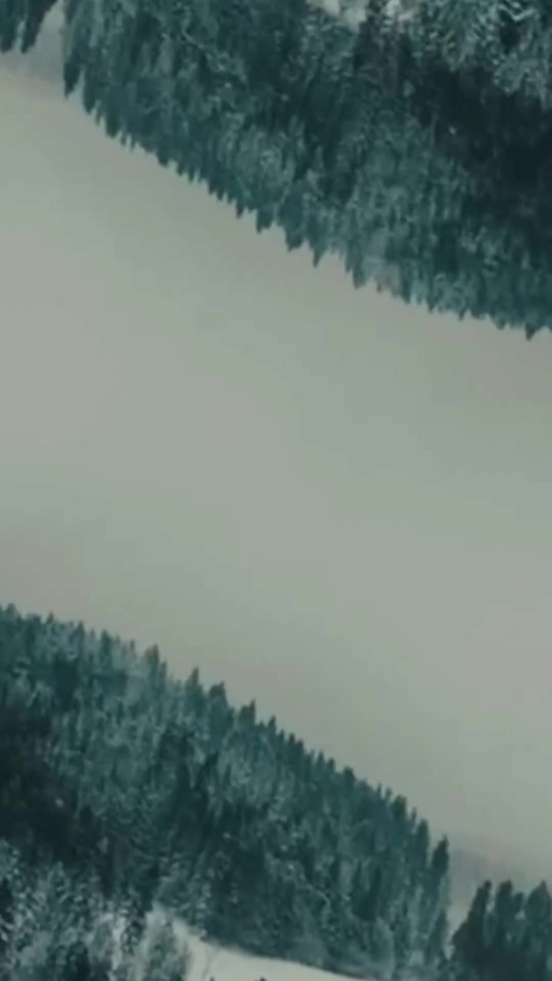 @♛〆 𝘾𝙤𝙖𝙟𝙚 〆♛