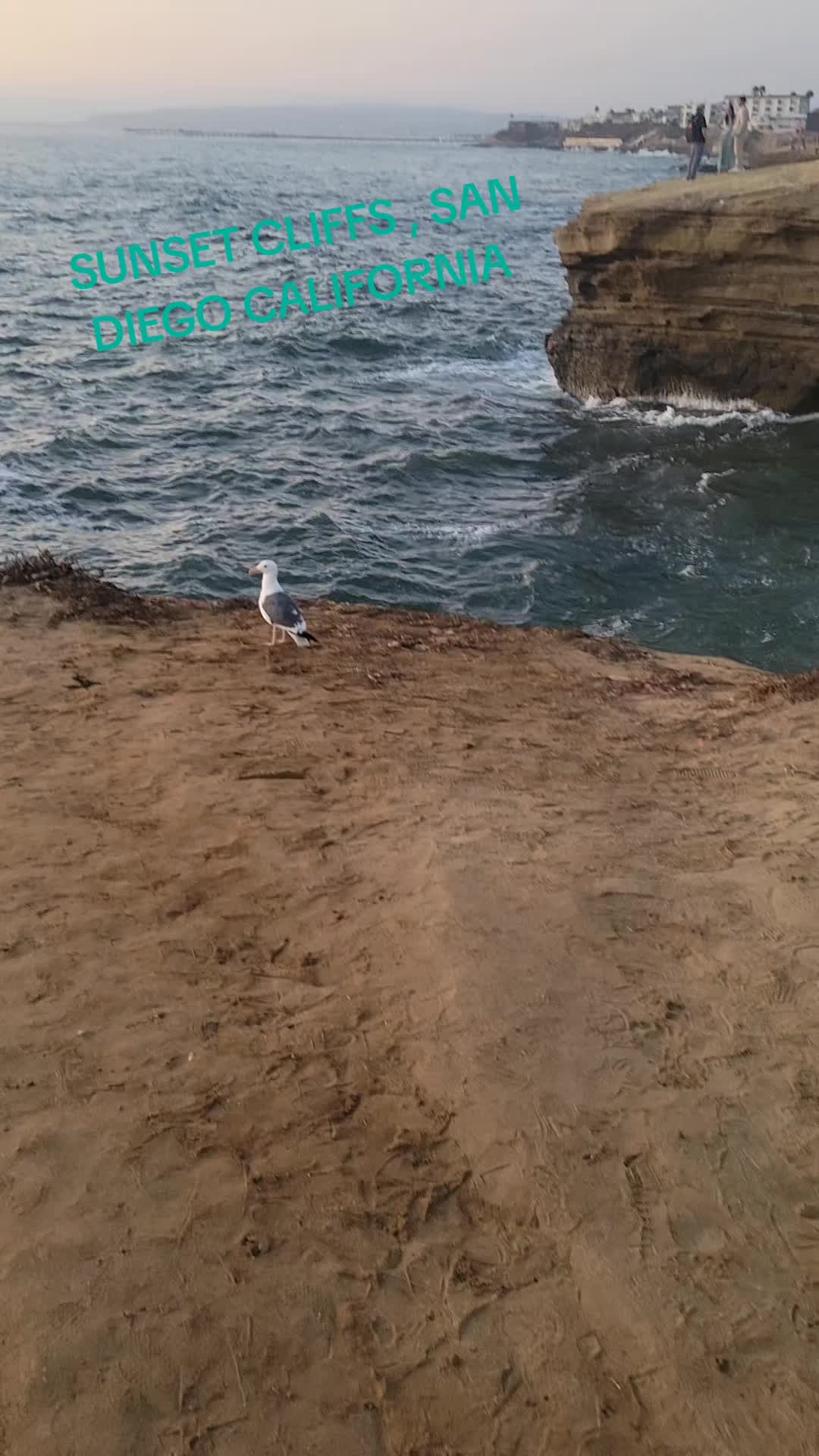 @BªĹƙÀɲ ƁoƳ