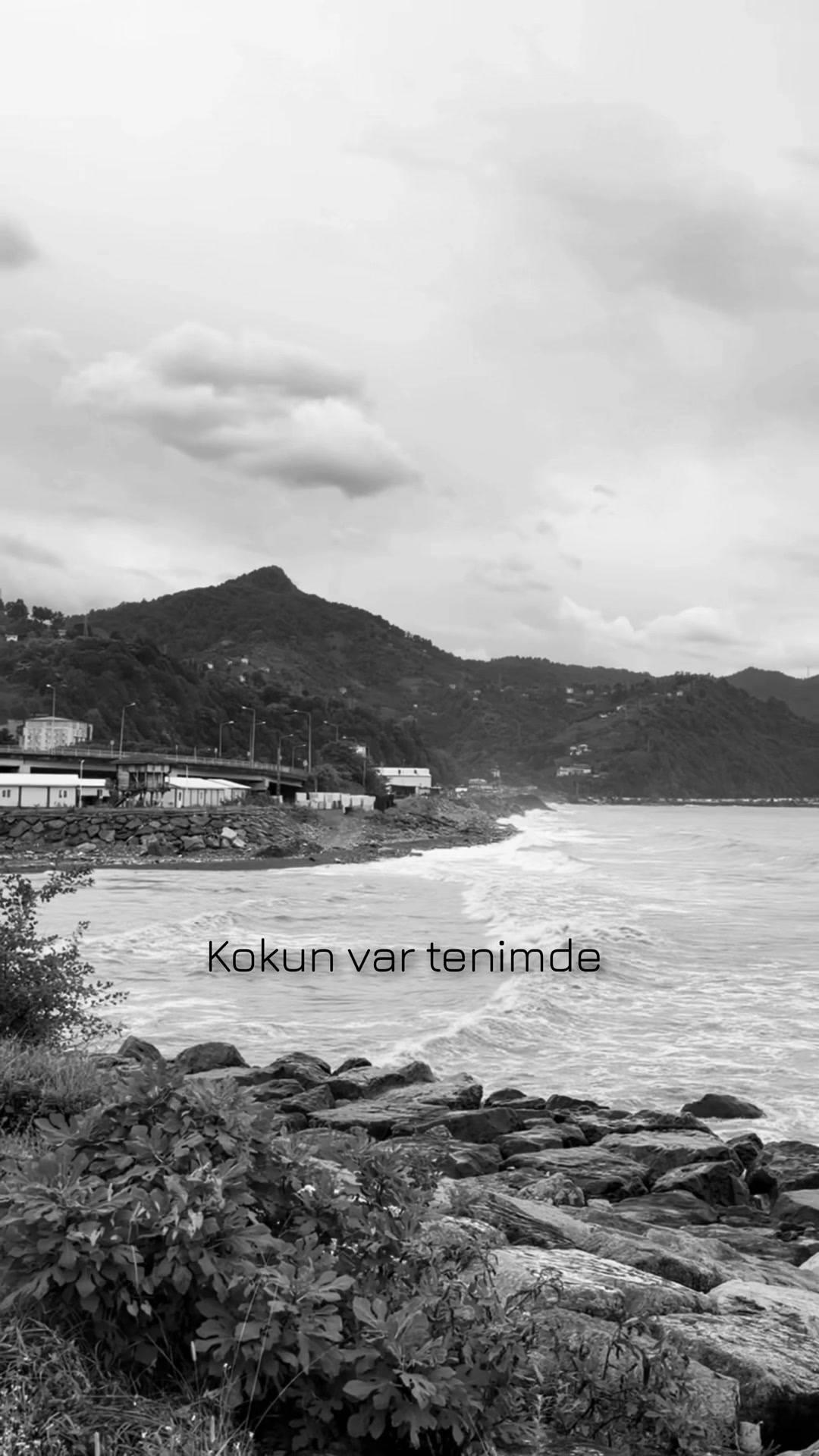 @HiraiZerdüş