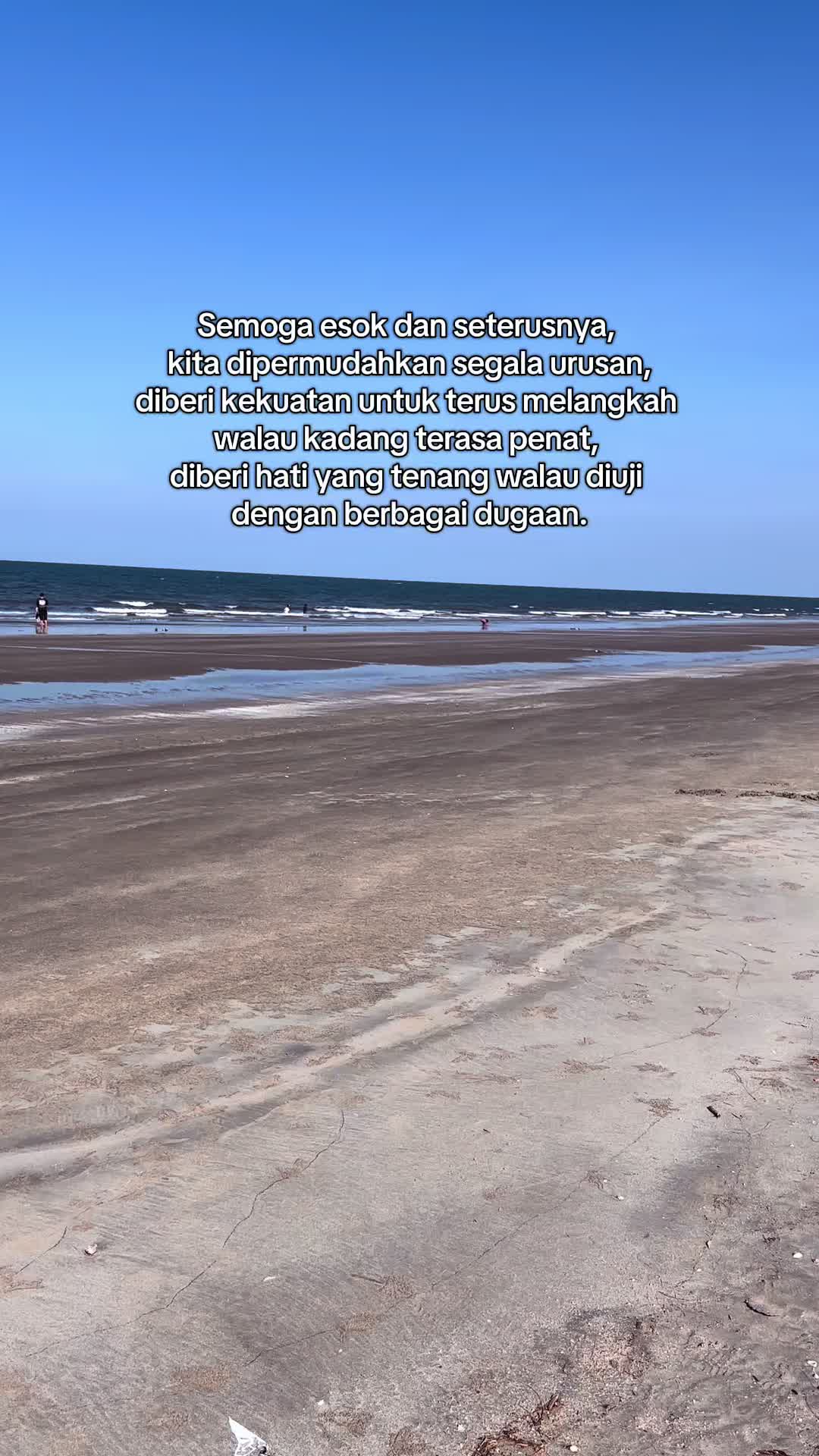 @Miwaa