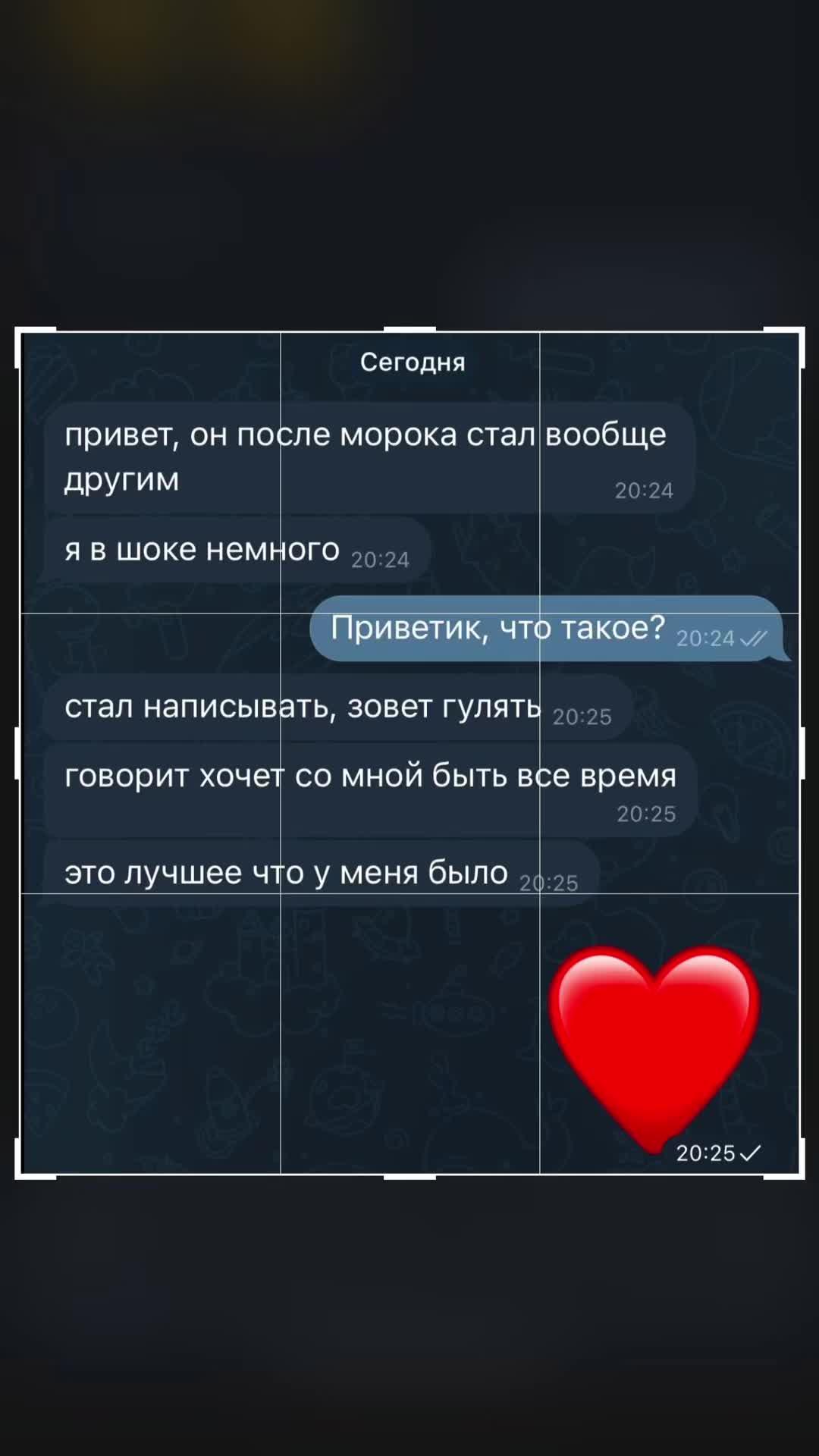 @taro.prorok