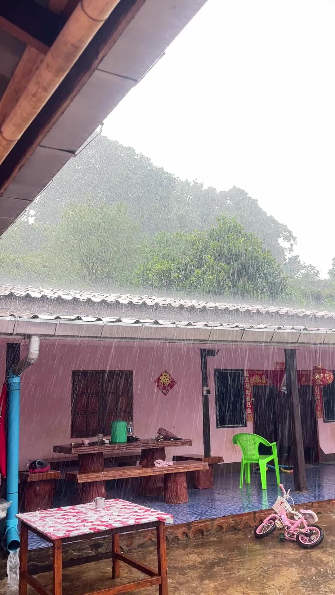 @小馒头