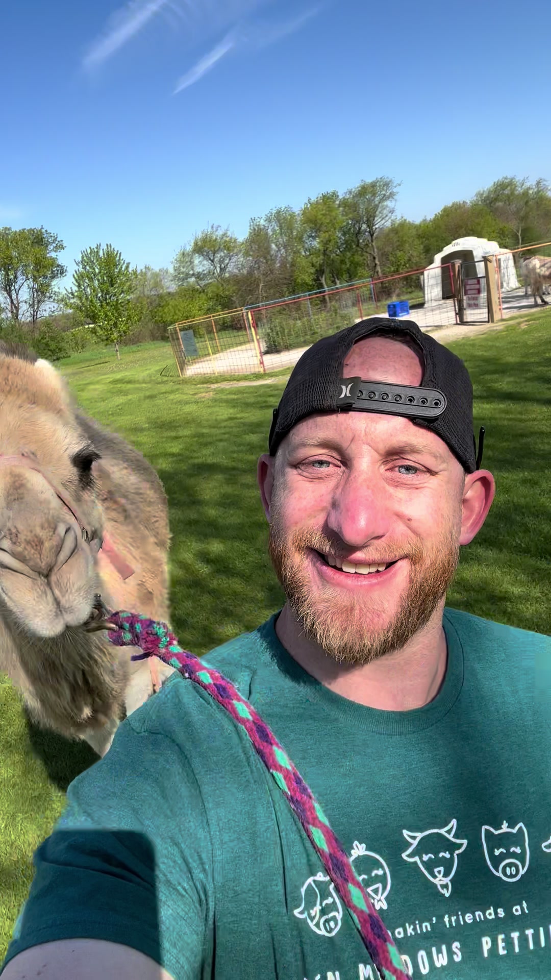 @GreenMeadowsFarmWi
