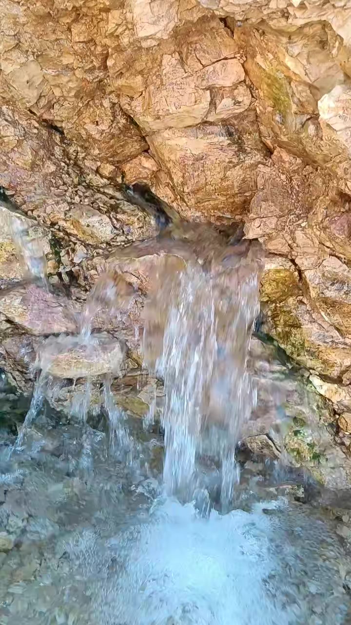 @DAĞCI.46