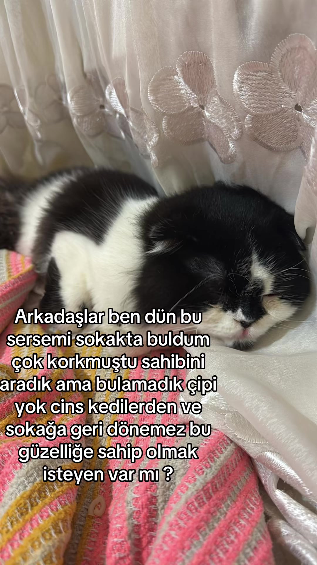 @erensshow