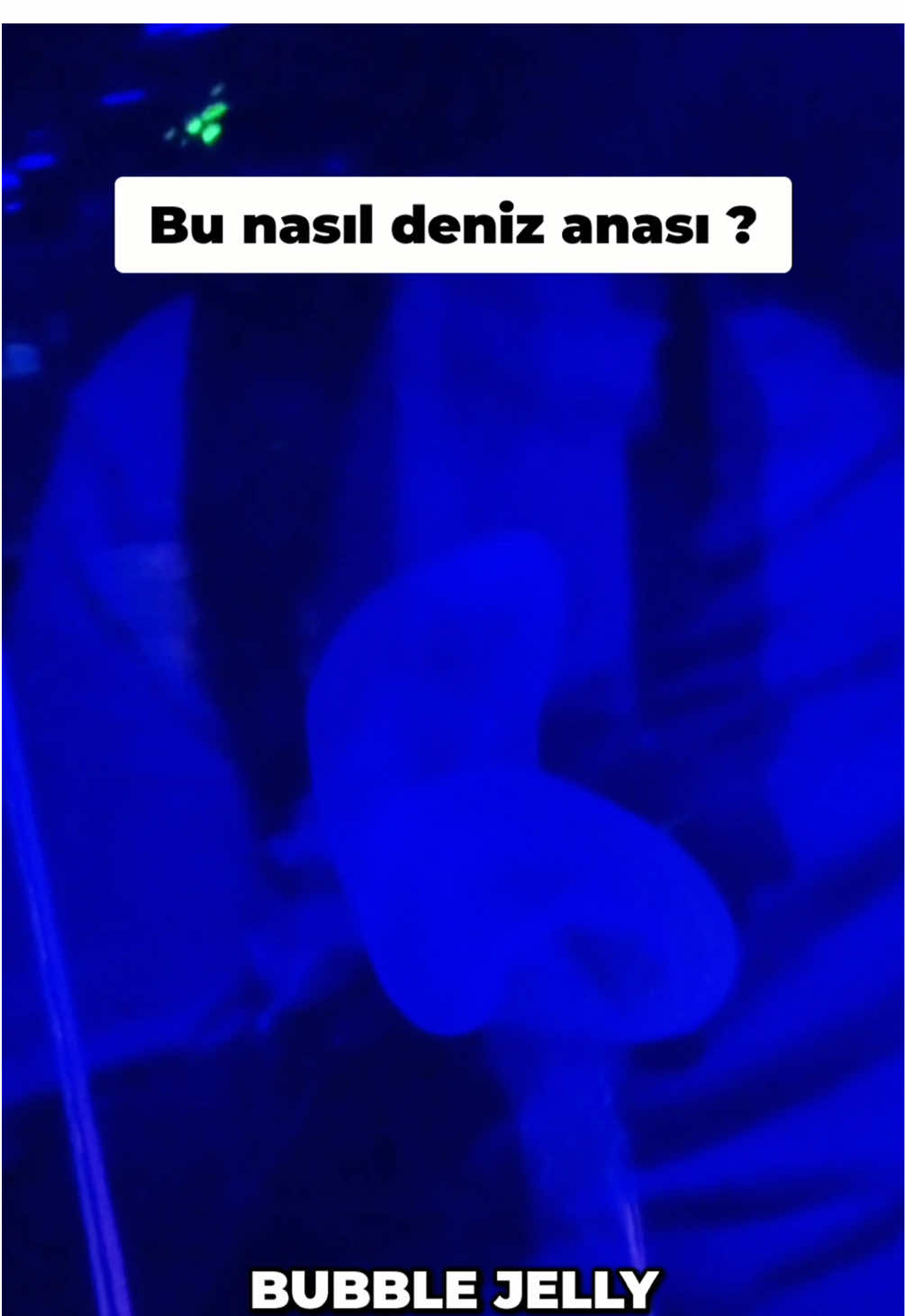 @Hayati Yasa