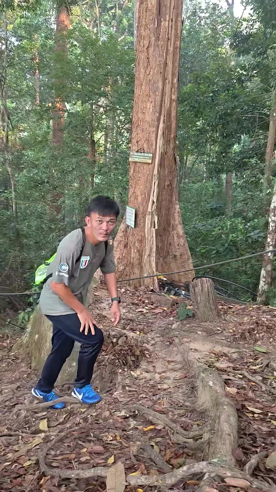 @๐๐ฎ๐ต๐ช๐ด๐ฒ๐ฐ๐ฒ๐ต๐ช2