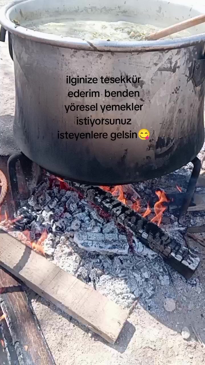 @elifsvml