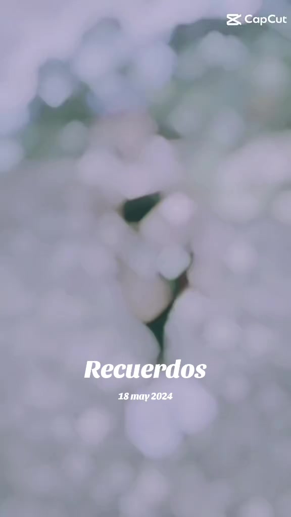 @Yanileth Saavedra