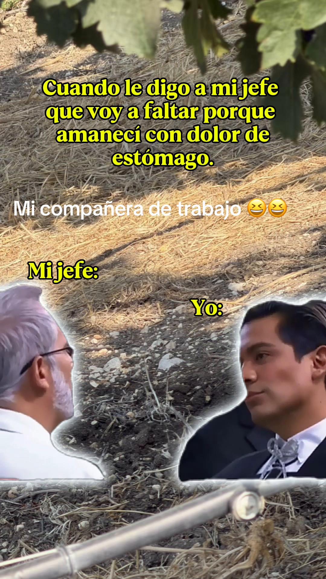 @Sandra Santiago