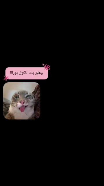 @الـَِ مشاعِـرر. 👸🏻؟.