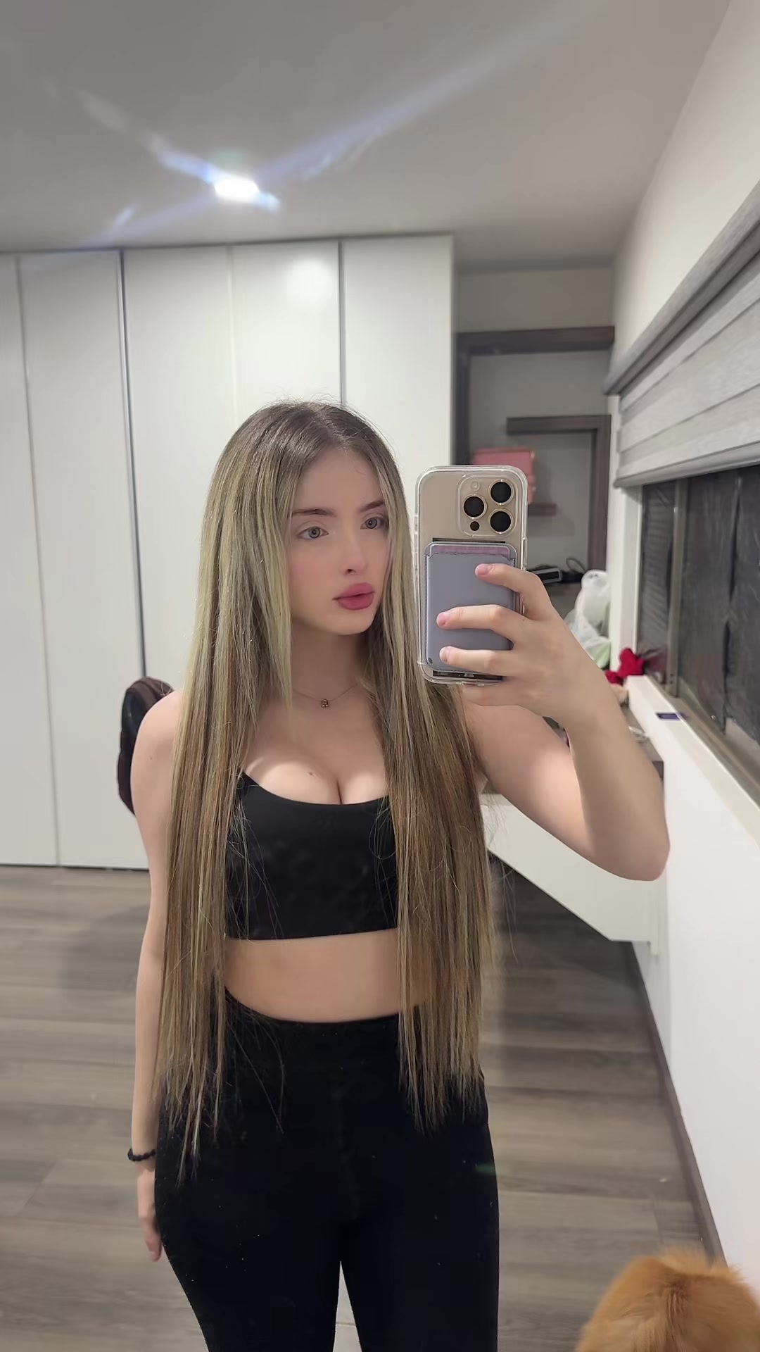 @regina.vilaaa
