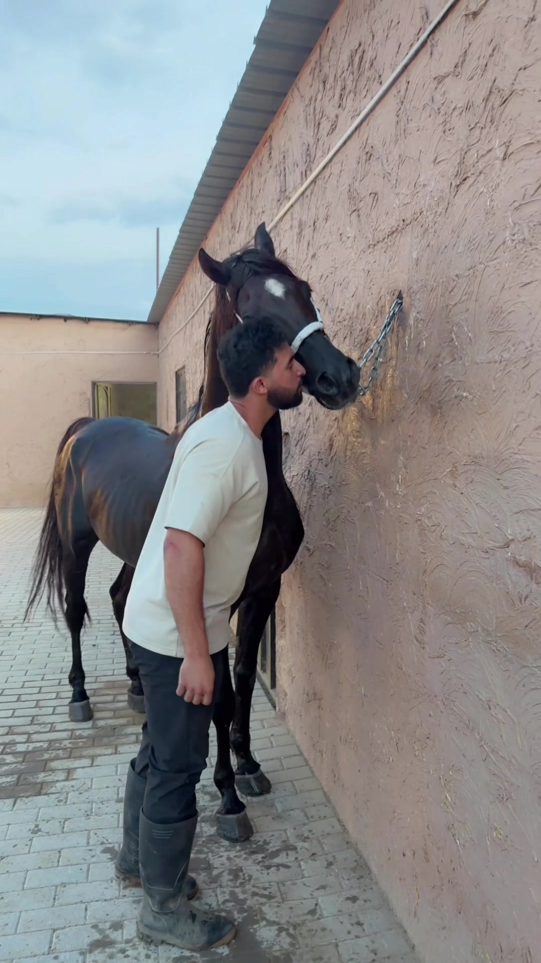 @بـاسـل الـوادعـي⭐️🐎