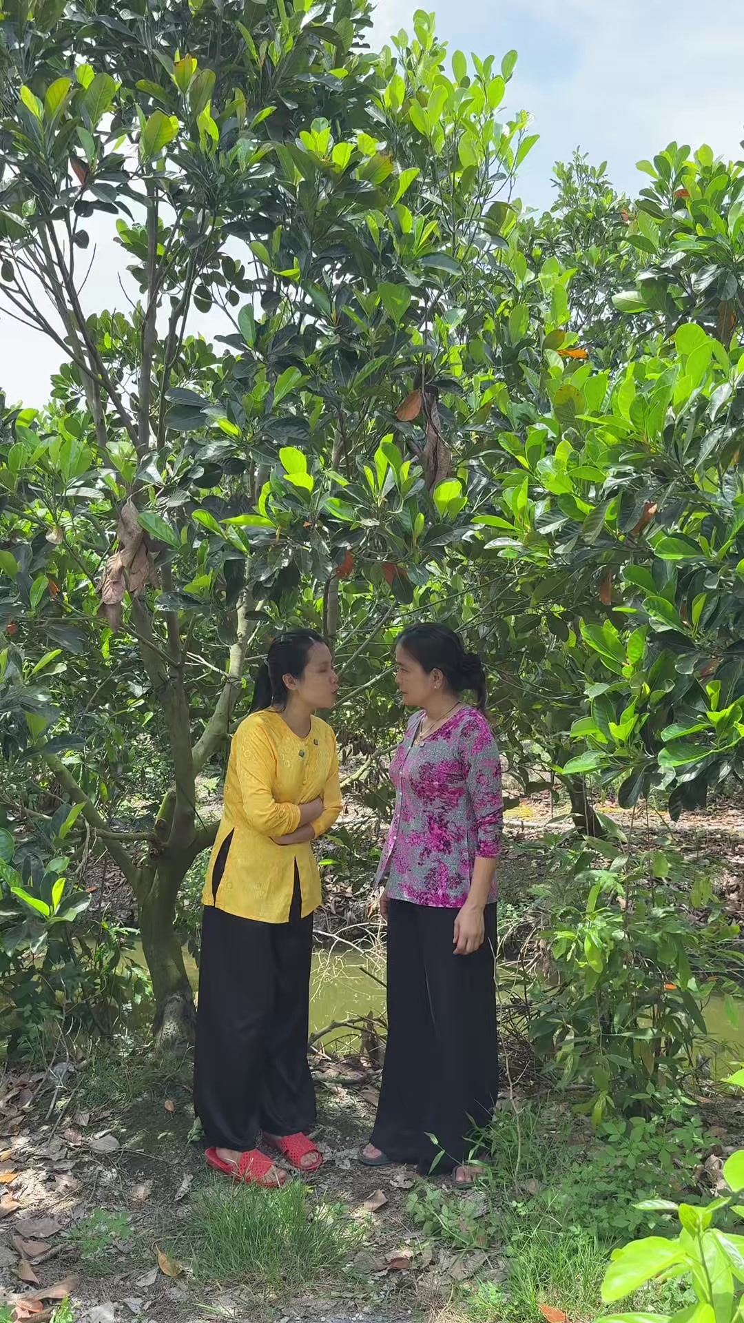 @Ngoại 9 Miền T&acirc;y 🇻🇳