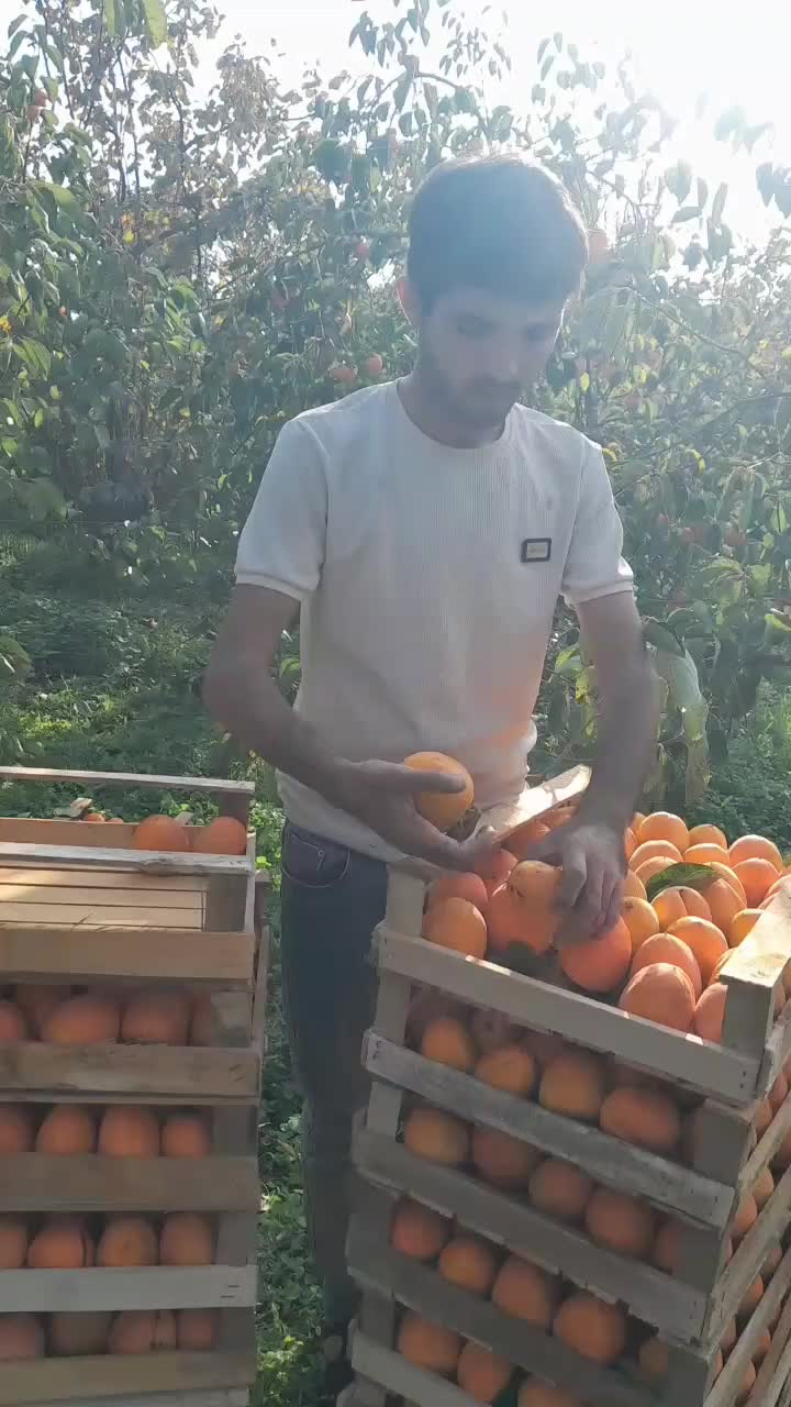 @Talehdi_qadan_aLım🤍✅