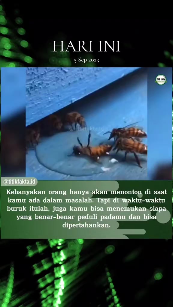 @Titik Facts