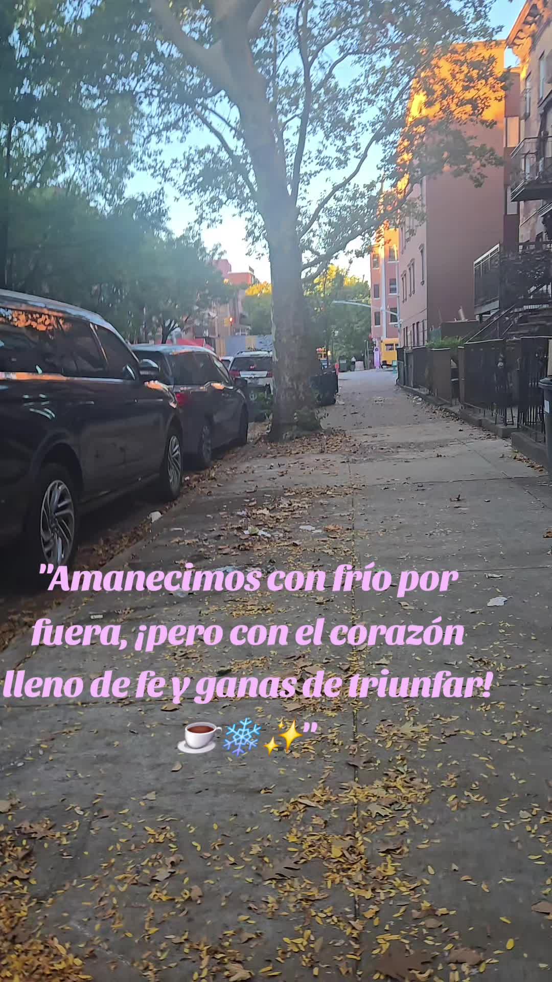 @Andrea Arévalo