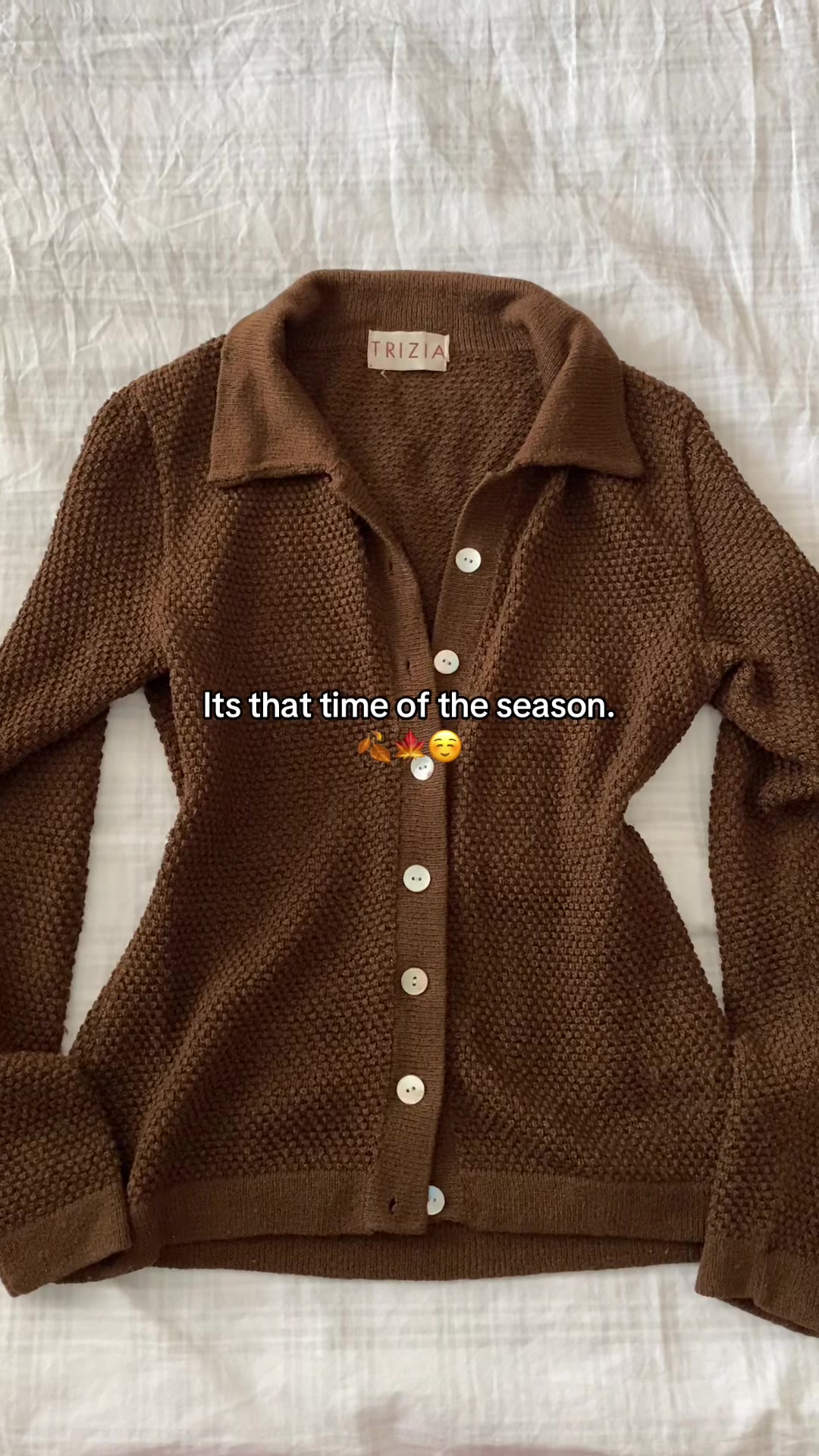 @🎄