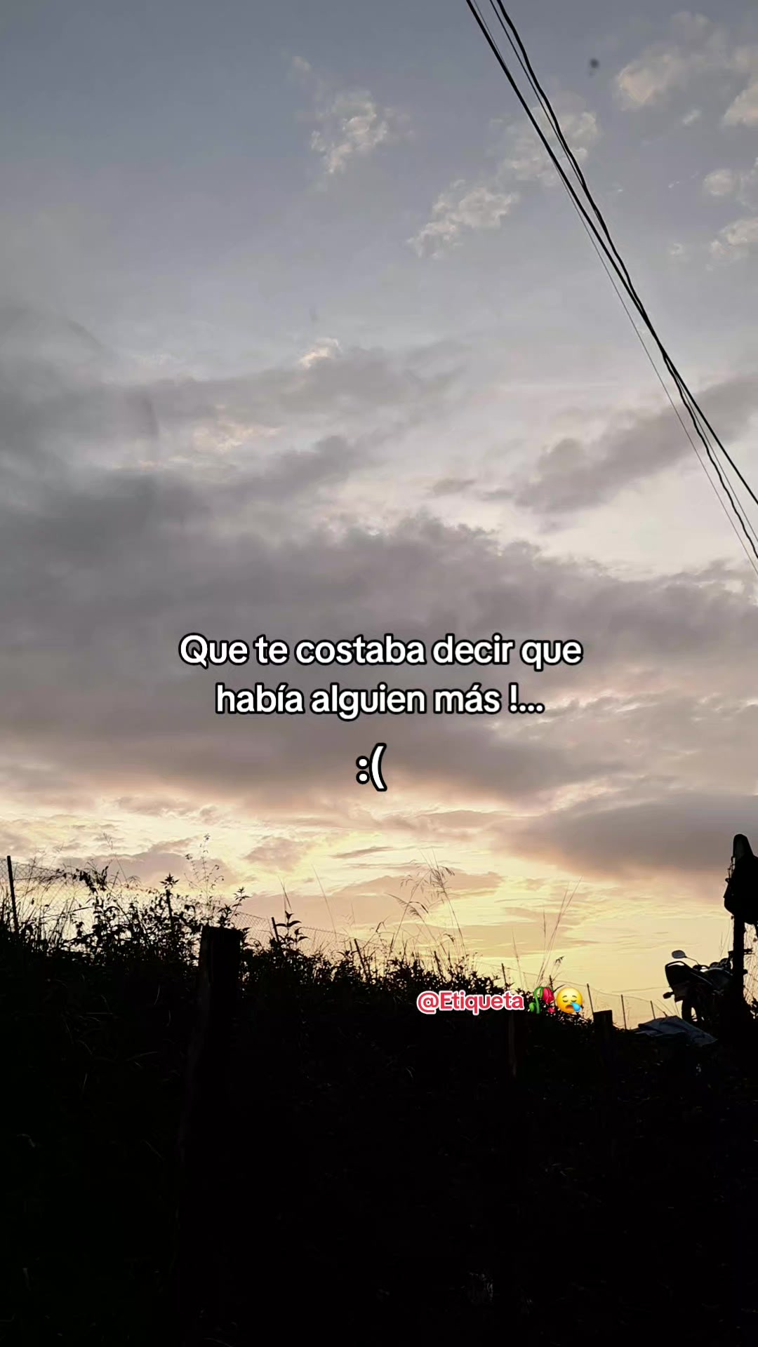 @✔️❗️Triste_realidad_⚖️✏️✔️