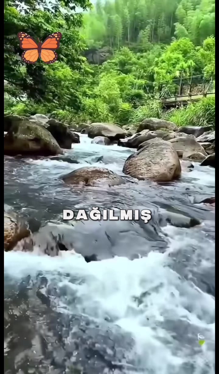 @Ayşe Güzel