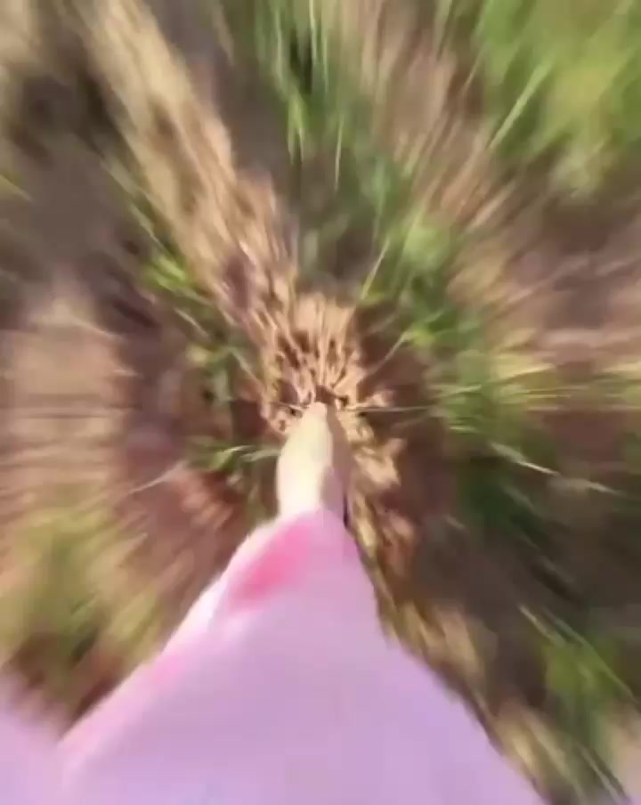 @ŅĸКԩ&aacute;𝕟*॰&uml;̮👑🔥