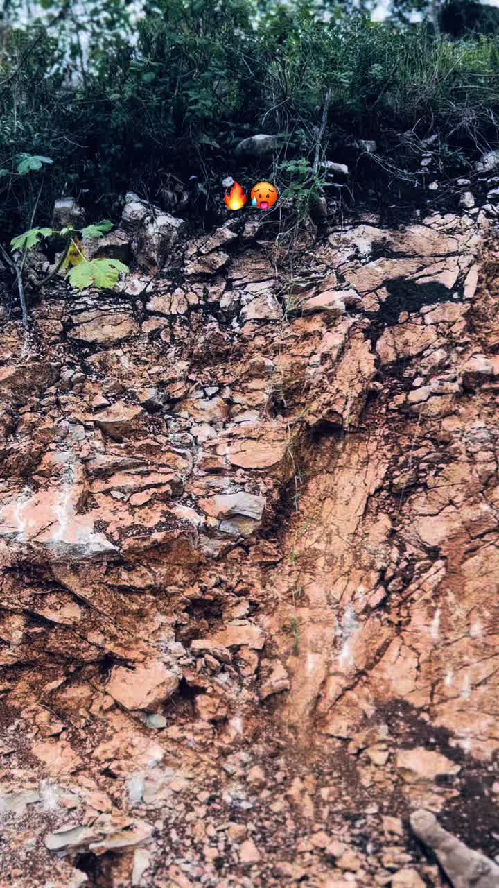 @𝒴𝒶𝓂𝒾𝒾𝒾𝓈