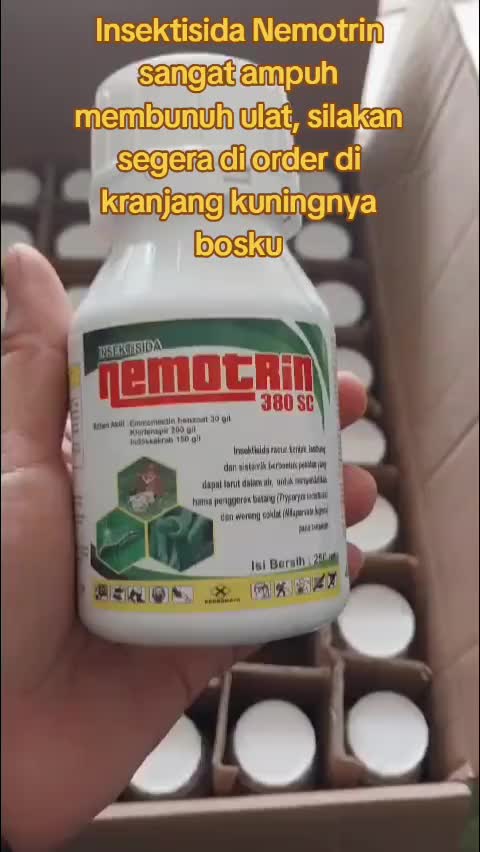 @Awig Shop Jaya Santosa