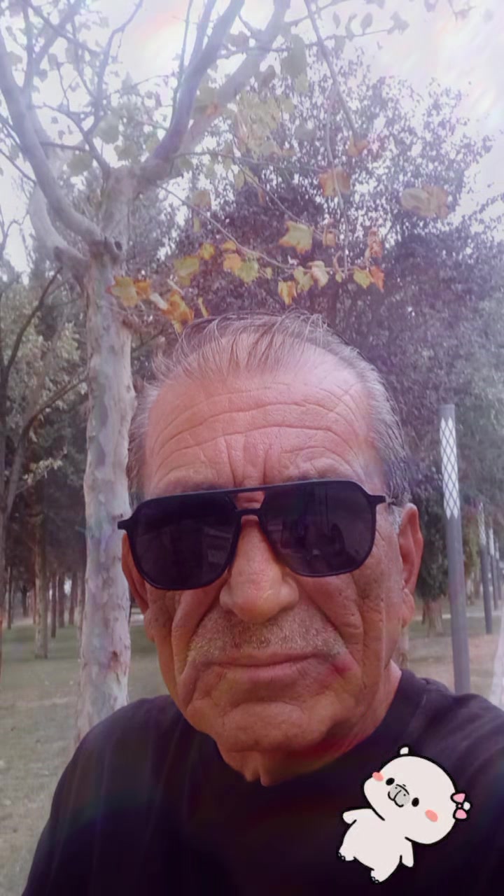 @ismailozdemir677