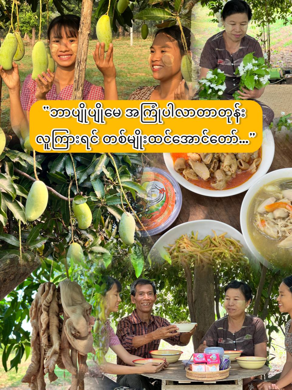 @Yar Taw Thu - ယာတောသူ