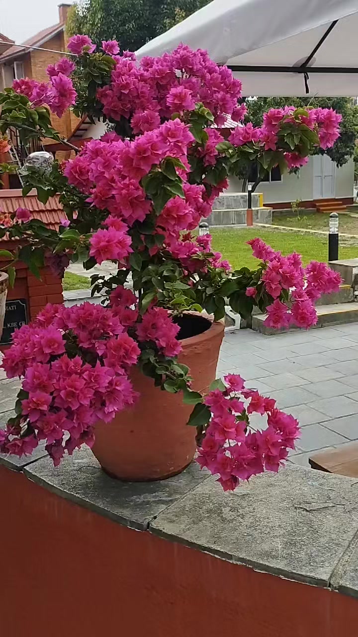 @u.k🌹🌄👉