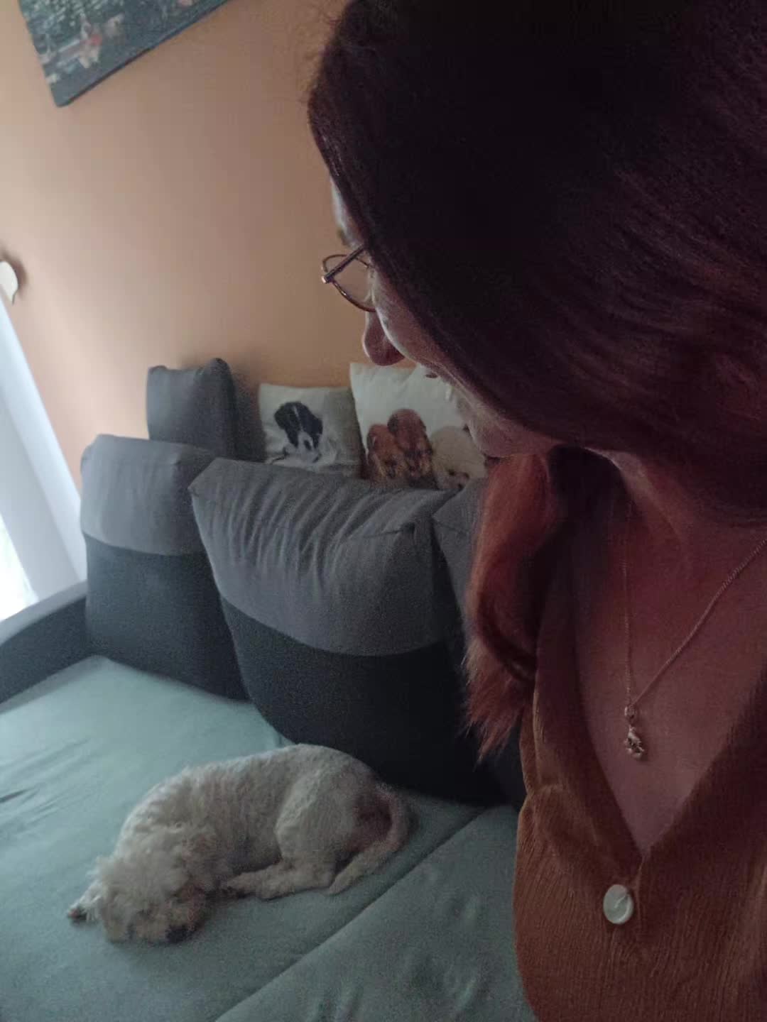 @HundeMom🐺🐶🐕🐶🥒