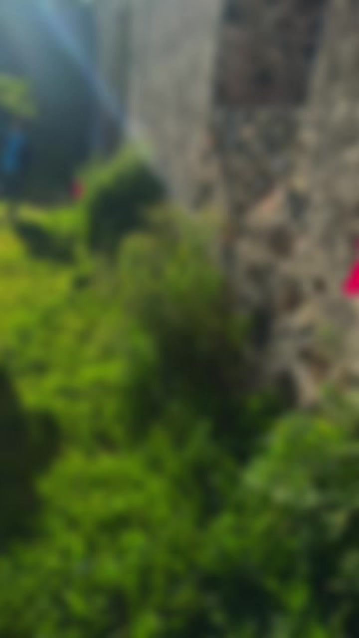 @𝒢𝒶𝒷'𝓈 ℛ𝒾́ℴ𝓈ℳℴ𝓇