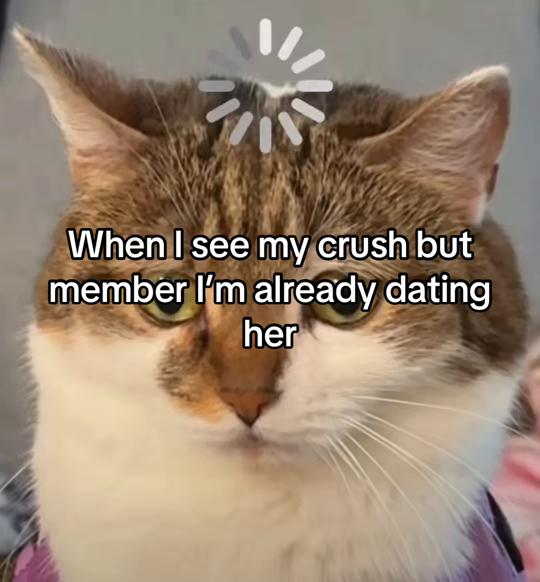 @LavanderCat