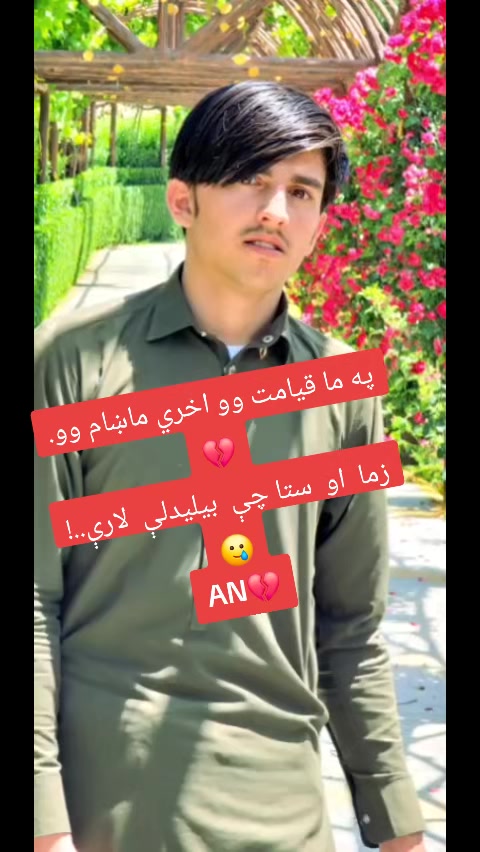 @Arman Phasha