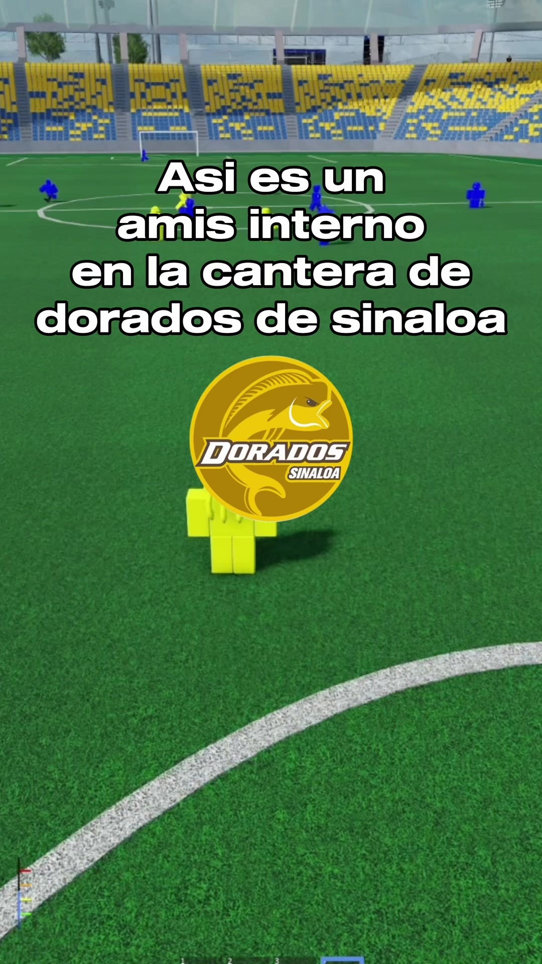 @ImFopy🦑