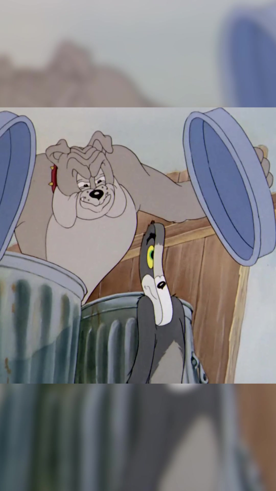 @Tom and Jerry