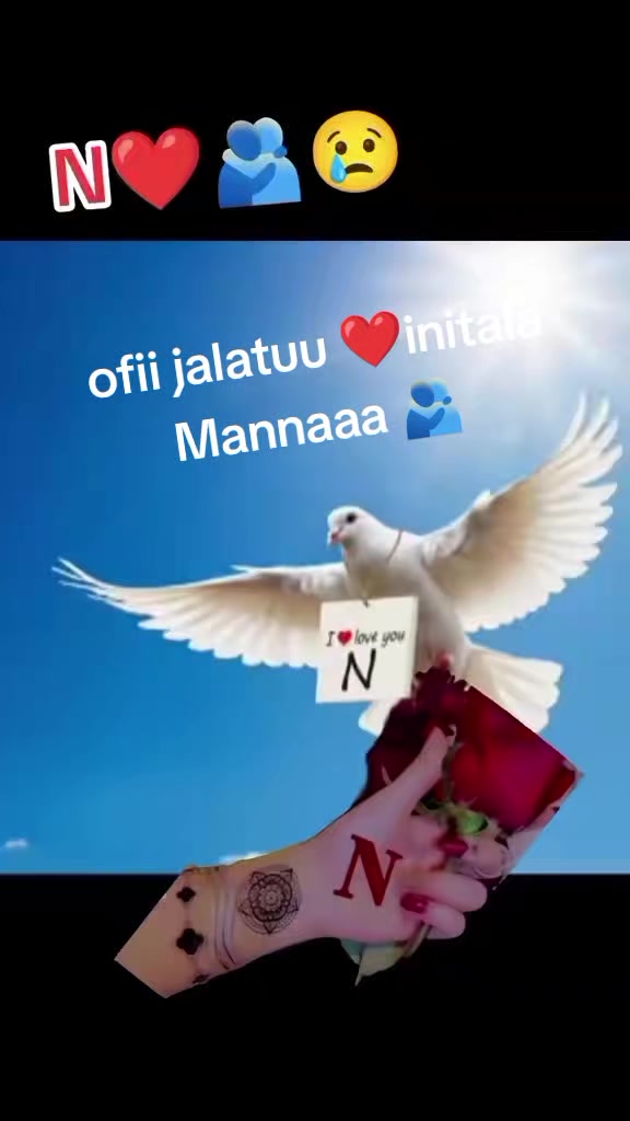 @ofiin bontuu intala mannaa