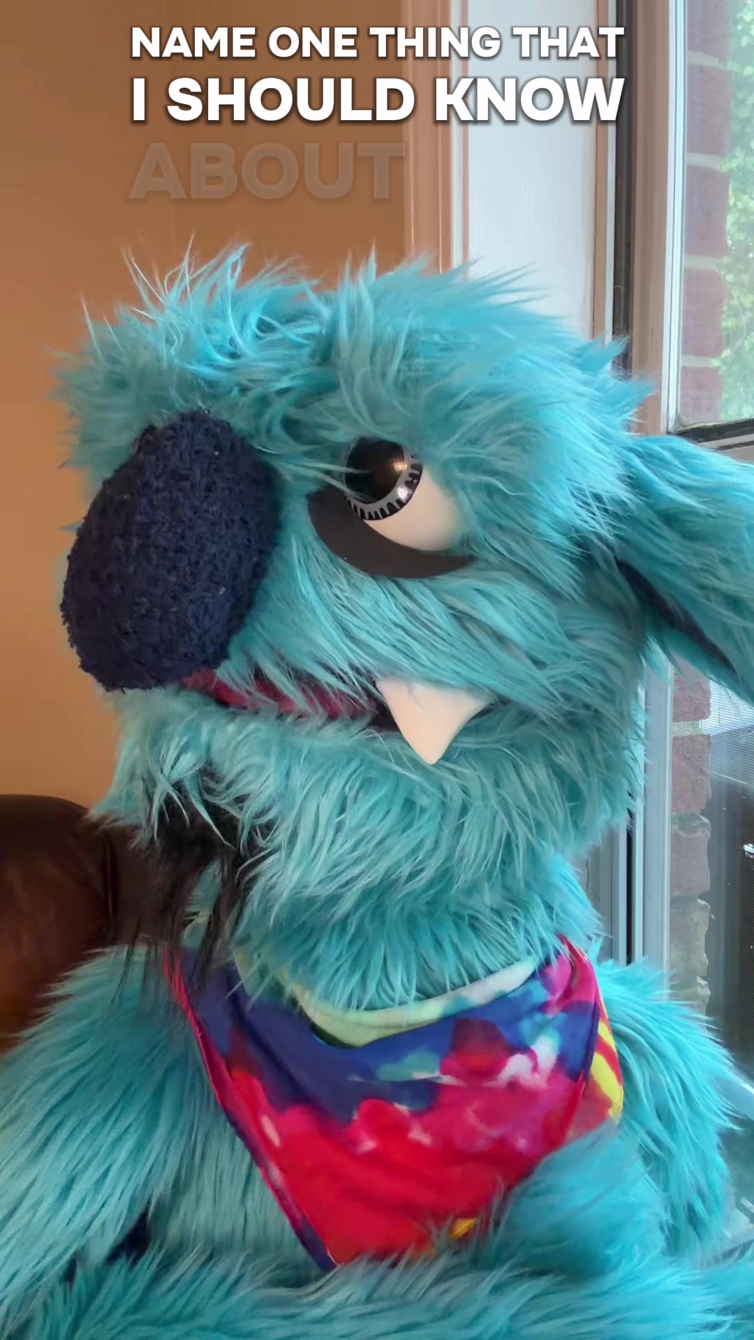 @PuppetTakeover