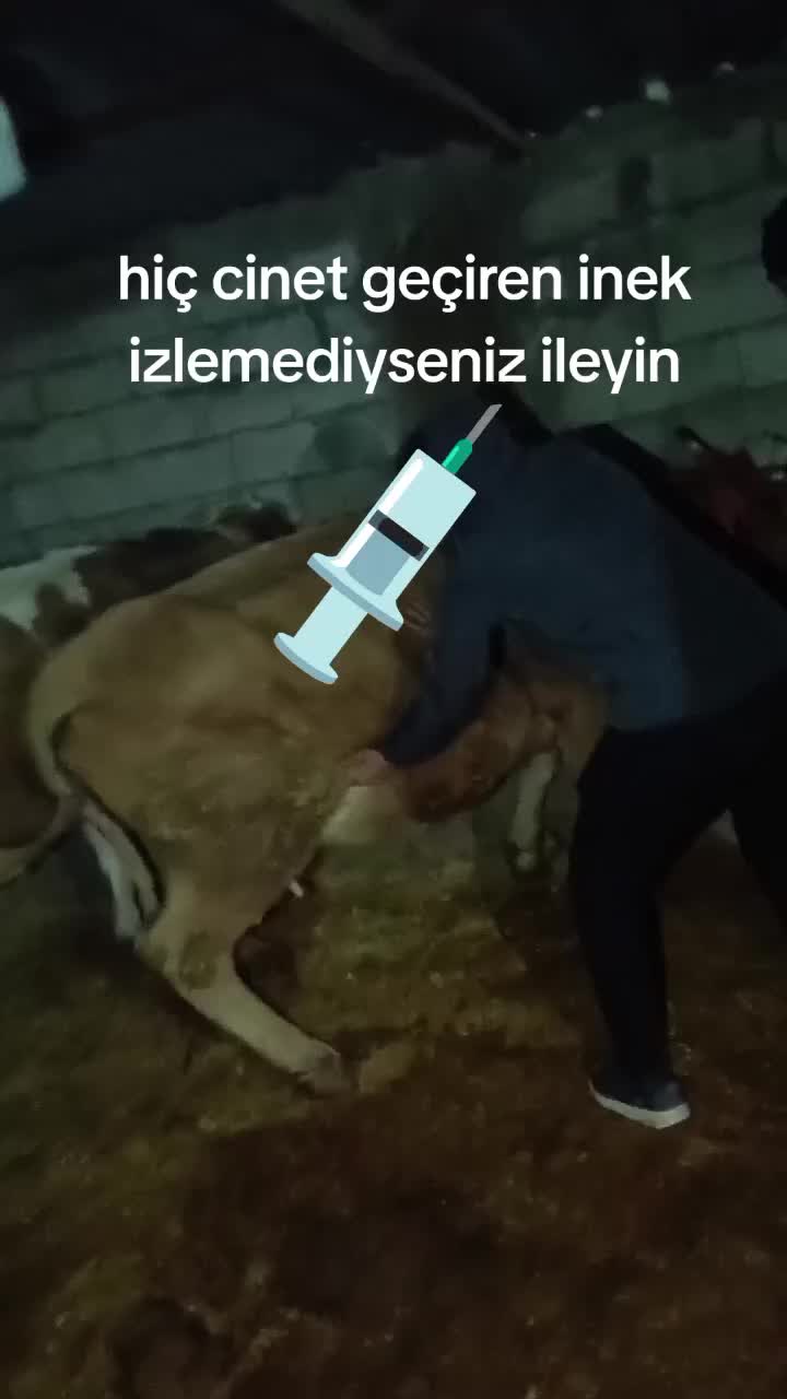 @Nejat Ergin