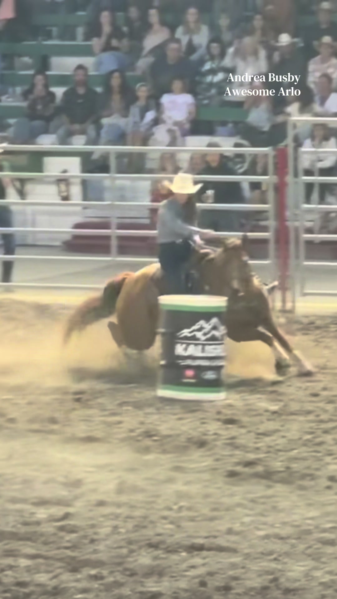 @BarrelRacing.com