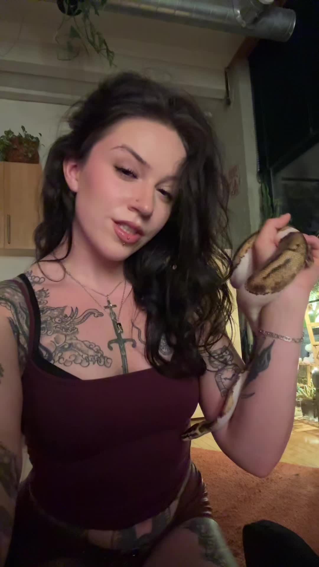 @liofied_