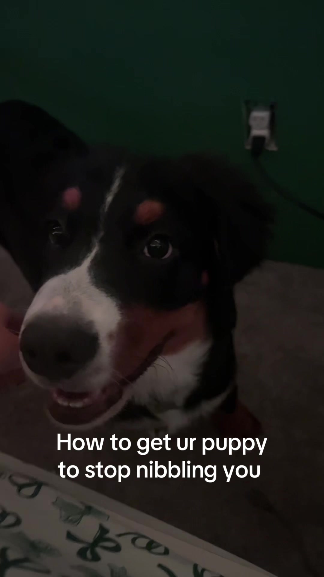 @Jalynn3.