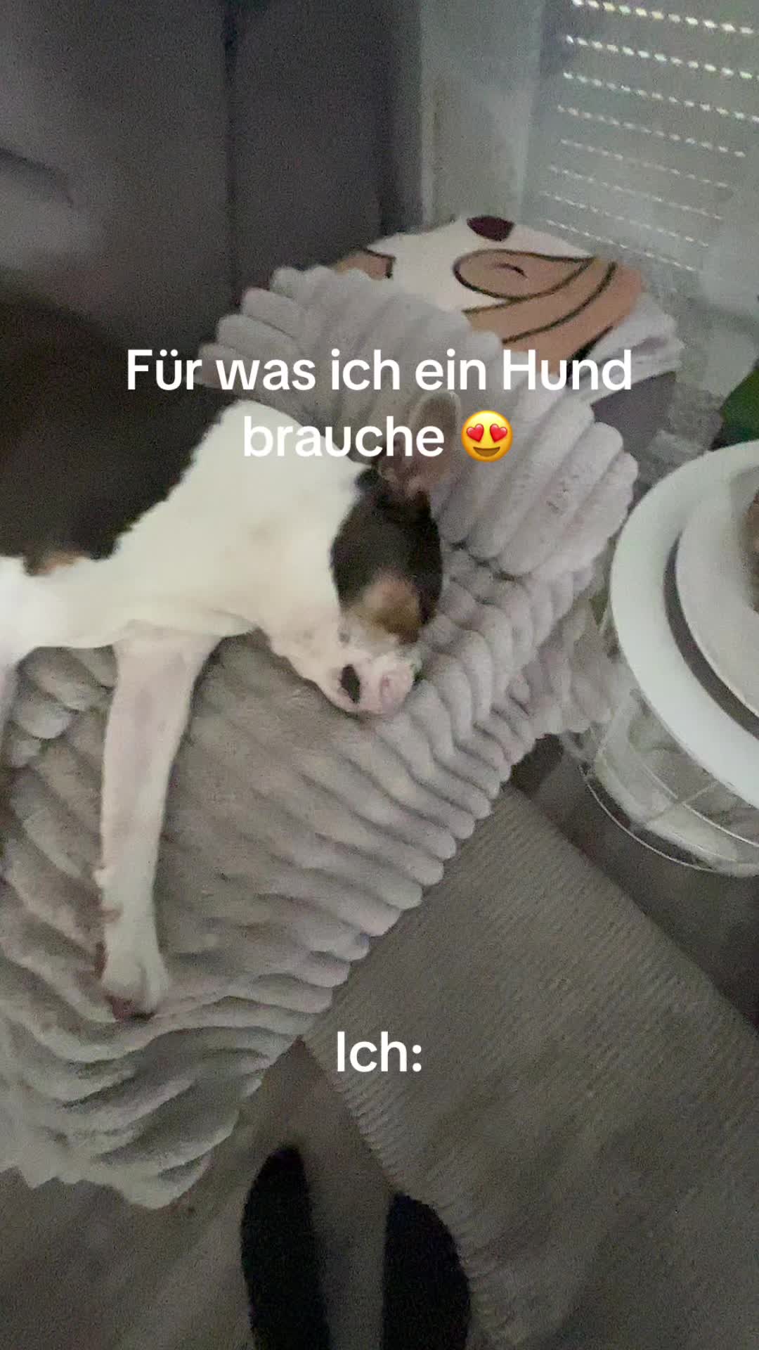 @1953🖤💛