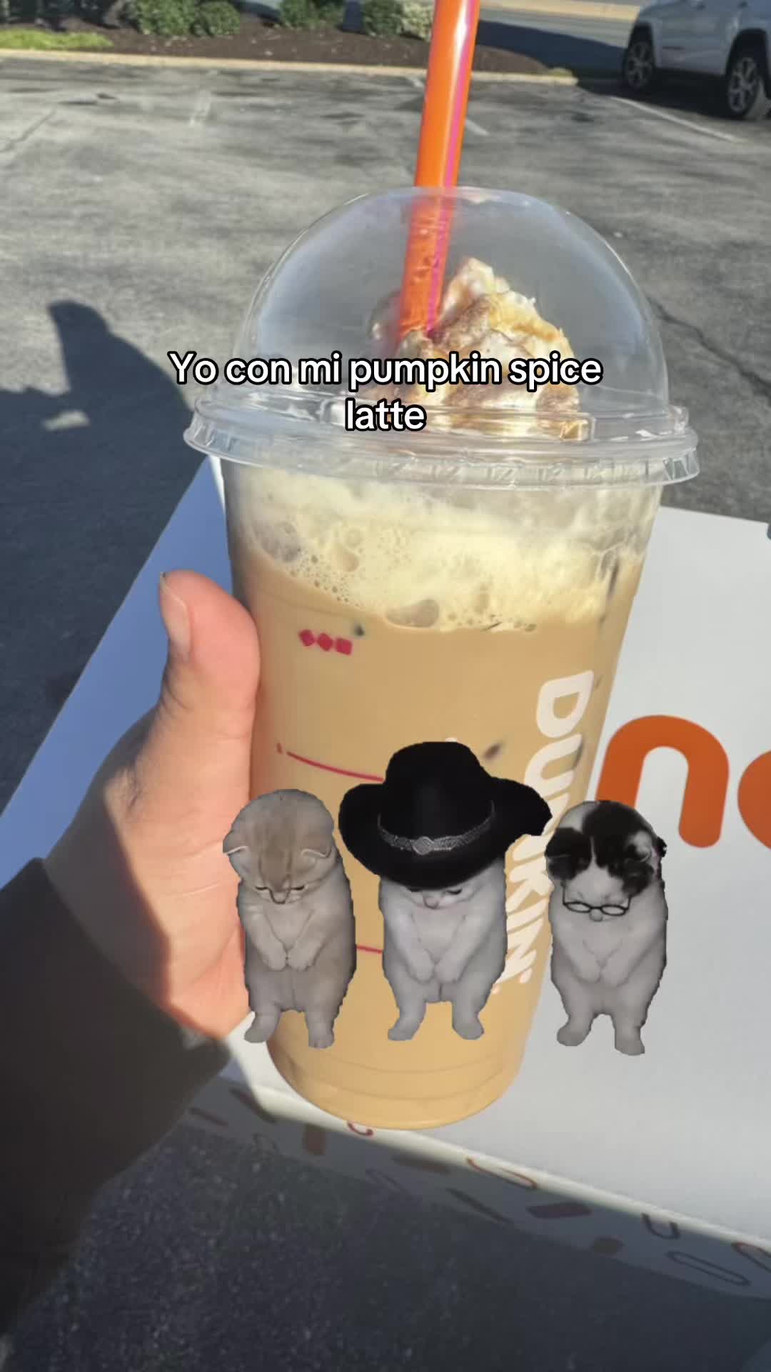 @L U P I T A🧡