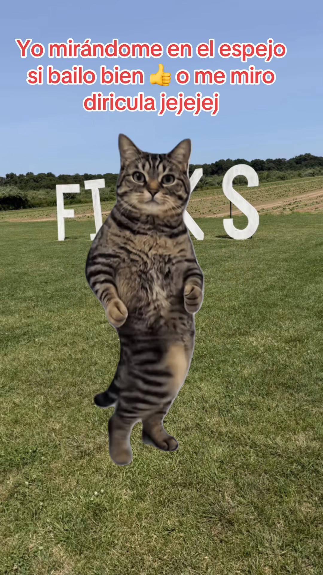 @âïžðSANDRYððŠâ€ïžðâïžðŠððŠ