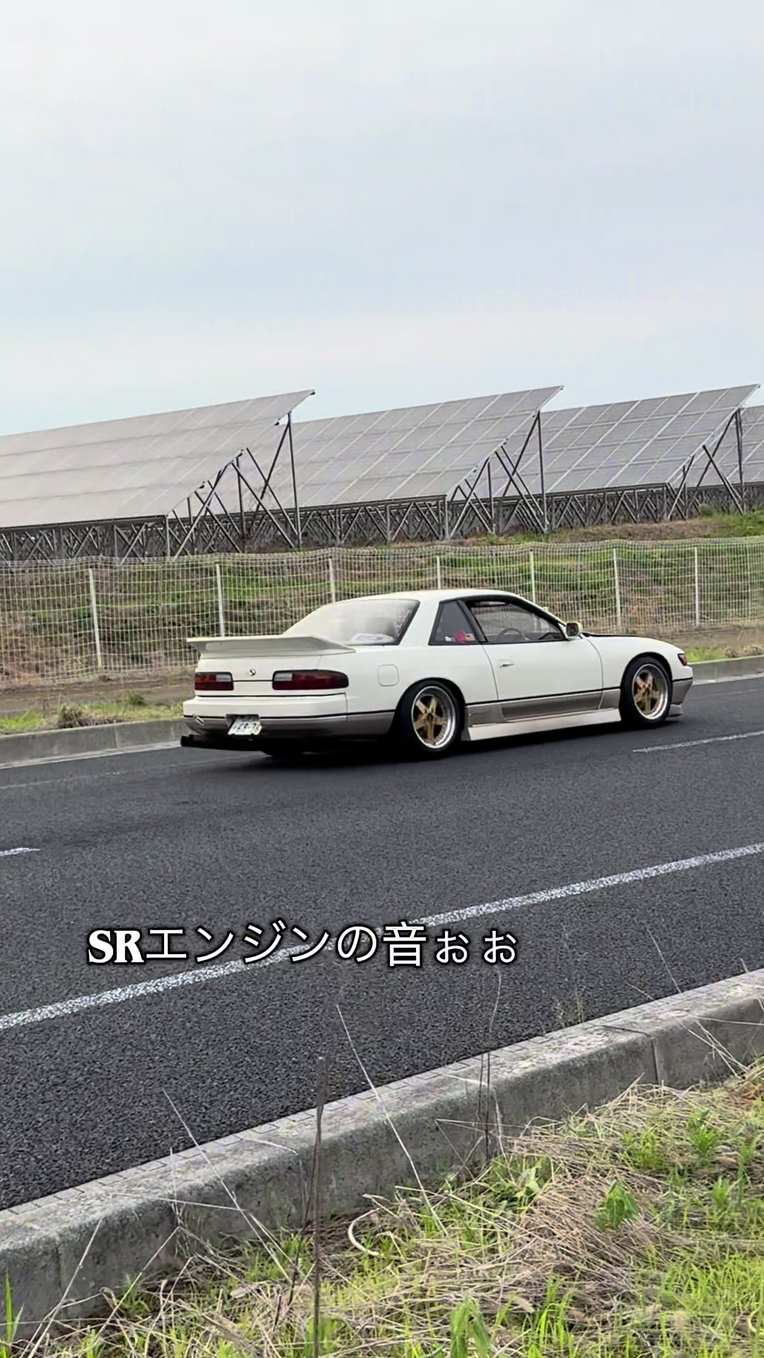 @ここたんTV